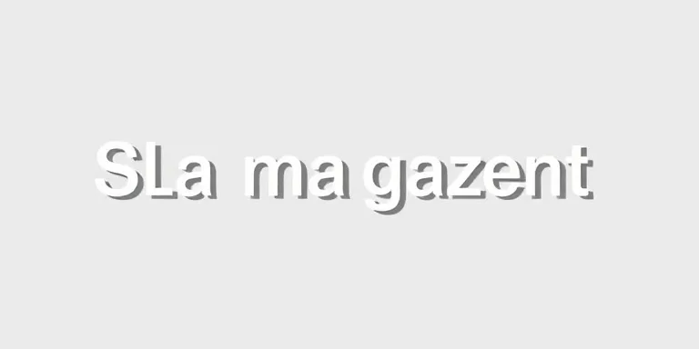 Sla Yonetimi Bayi