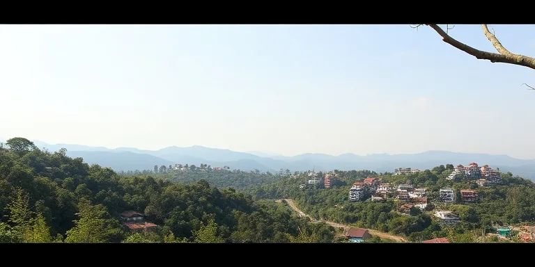 Uluslararasi Referans